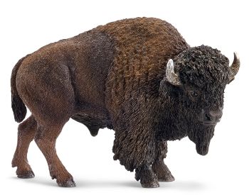SHL14714 - Bison