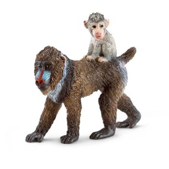 SHL14716 - Femelle mandrill avec son bébé