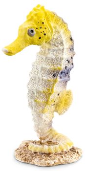 SHL14725 - Hippocampe