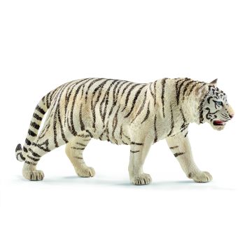 SHL14731 - Tigre blanc mâle