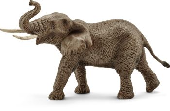 SHL14762 - Éléphant d'Afrique mâle