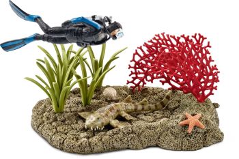 SHL42328 - Plongeur dans un récif corallien