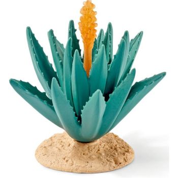 SHL42243 - Agave