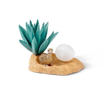 SHL42247 - Nid d'autruche