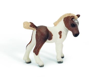 SHL13687 - Poulain Falabella