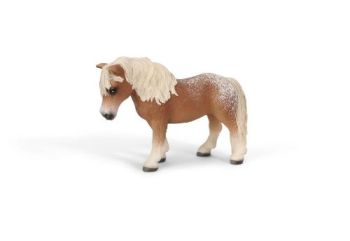 SHL13688 - Jument Falabella