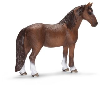 SHL13713 - Jument Tennessee Walker