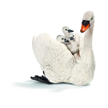 SHL13718 - Cygne blanc femelle avec cygneaux