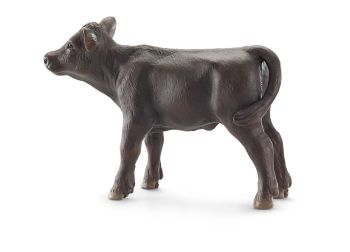 Veau Angus