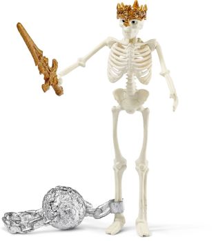 SHL42150 - Squelette