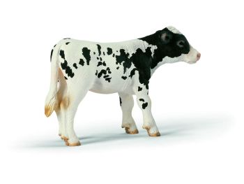 SHL13634 - Veau Holstein