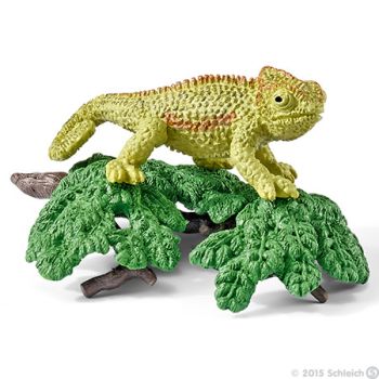 SHL42242 - Kit caméléon