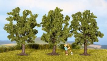 NOC25510 - 3 Arbres fruitiers 4.5 cm