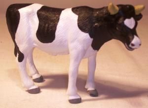VAC571631 - Vache HOLSTEIN