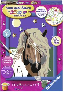 RAV280186 - Numéro d'art brillant – Haflinger à la clarté de la lune -13x18 cm