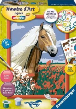 RAV29694 - Numéro d'art - Haflinger dans un champ - 18 x 24 cm