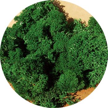 HEK3211 - Lichen vert foncé 30g