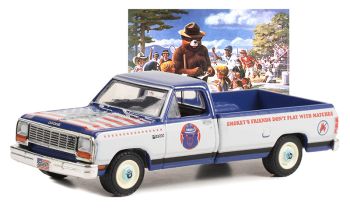GREEN38040-D - DODGE Ram D-150 1989 de la série SMOKEY BEAR sous blister