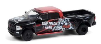 GREEN30258 - DODGE RAM 3500 2018 Bully Dog sous Blister