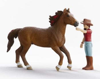 SHL42711 - Cavalière Hannah et Cayenne