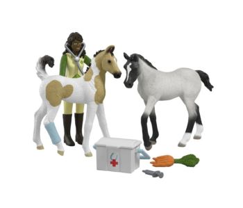 SHL42777 - Soins pour les bébés animaux de Sarah