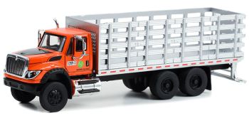 GREEN45180-A - INTERNATIONAL Workstar 6x4 porteur 2017 de la série S.D. TRUCKS sous blister