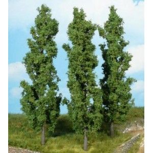 ARCHIVE092 - Lot DE 3 Peupliers hauteur 18 cm