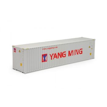 TEK70479 - Container 40 pieds YANG MING