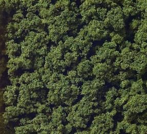 FGK95380 - Buisson vert foncé