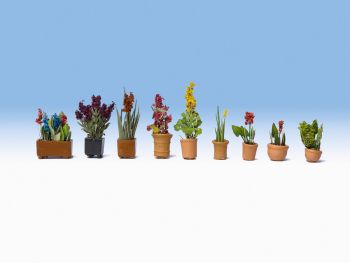 NOC14012 - Set de fleurs en pots
