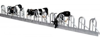 AGR06 - Cornadis 10 emplacements long 35cm sans le support et les animaux
