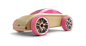 ATX985007 - Voiture en bois démontable