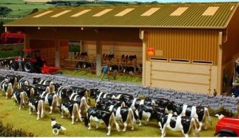 BBB120 - Stabulation, salle de traite, logettes