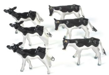 BRI40960 - 6 Veaux HOLSTEIN