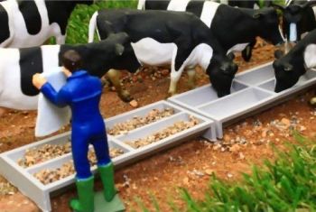 BT3059 - 2 Mangeoires