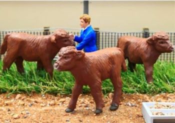 BT3069 - 3 vaches Highland debout