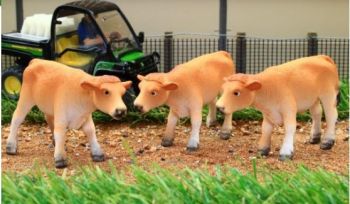 BT3071 - 3 vaches marron clair debout