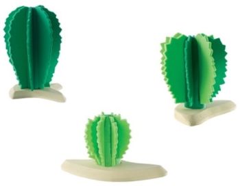 BUL81087 - Groupe de Cactus