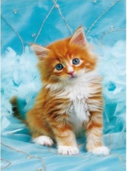 CLE21142 - Puzzle 260 Pièces - Chat 33.6 x 23.5 cm