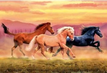 CLE30732 - Puzzle 1000 Pièces Chevaux 67.7 x 47.7cm