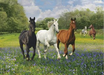 CLE39255 - Puzzle 1000 Pièces chevaux