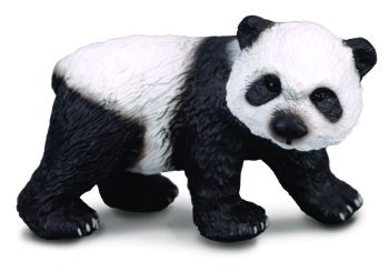 COLL88167 - Bébé panda géant debout