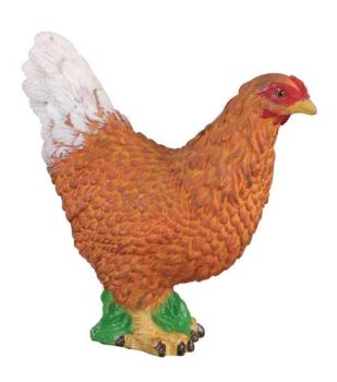 COLL88005 - Poule
