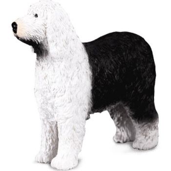 COLL88066 - Chien Bobtail