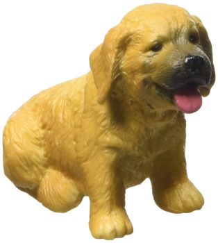 COLL88117 - Chiot Golden Retriever assis