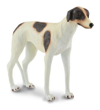 COLL88187 - Chien Lévrier