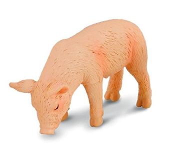 COLL88346 - Porcelet qui mange