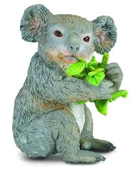 COLL88357 - Koala qui mange