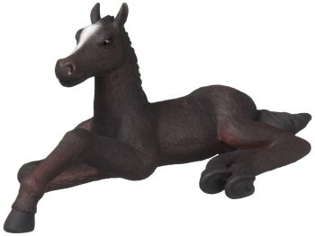 COLL88369 - Poulain couché