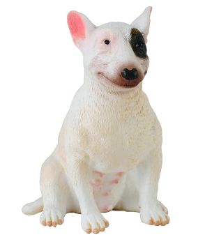 COLL88385 - Chien Bull Terrier